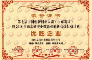 京青科技獲第七屆中國創(chuàng)新創(chuàng)業(yè)大賽暨山東省中小微企業(yè)創(chuàng)新競技行動計劃優(yōu)勝企業(yè)